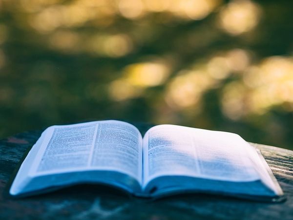 Najlepsze publikacje wprowadzające dzieci w świat ekonomii